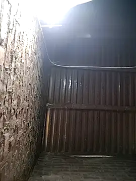 Bear bear0 online show from 01/12/26, 12:38