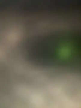 bart98geil online show from 03/10/26, 11:37