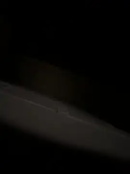 bart98geil online show from 04/06/26, 03:15