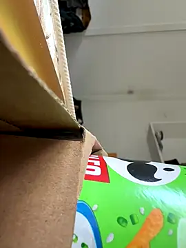 cheems232 online show from 11/26/25, 07:48