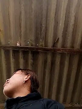 sowbibi online show from 02/08/26, 05:11