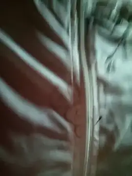 sowbibi online show from 02/28/26, 05:41