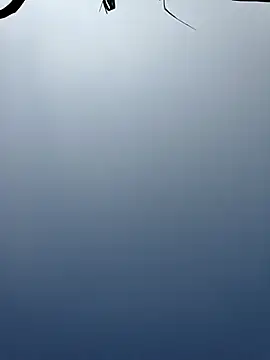 Menu x online show from 01/13/26, 08:08