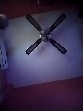 Danii2005 online show from 11/12/25, 06:52