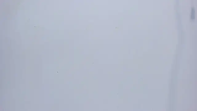 mirandaduboiss online show from 04/13/26, 05:07