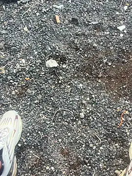 Snapshot of Rico1_1 chatting on 11/18/25, 08:41 Rico1 1 online show from 11/18/25, 08:41