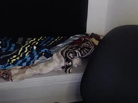 Snapshot of Negritatata chatting on 11/28/25, 11:13 Negritatata online show from 11/28/25, 11:13