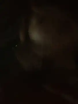 Lara-11 online show from 02/14/26, 06:43