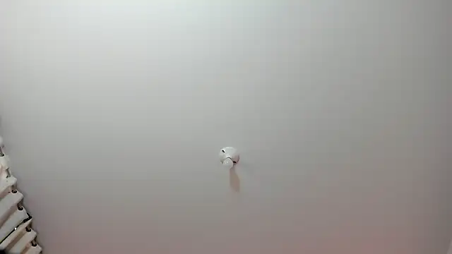 eimyy rouse online show from 02/26/26, 07:46