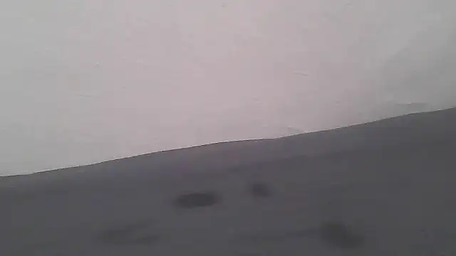 Snapshot of Femaleking29 chatting on 11/08/25, 10:15 Femaleking29 online show from 11/08/25, 10:15