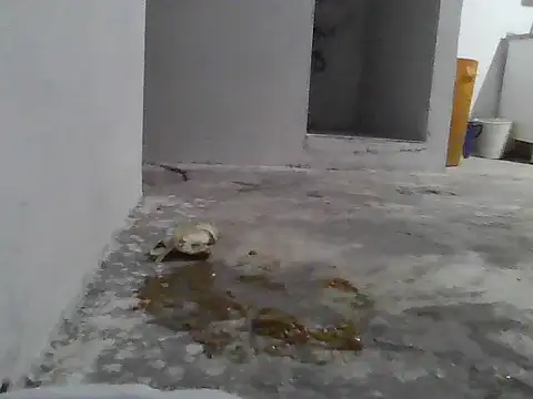 jupiter 333 online show from 01/08/26, 07:21