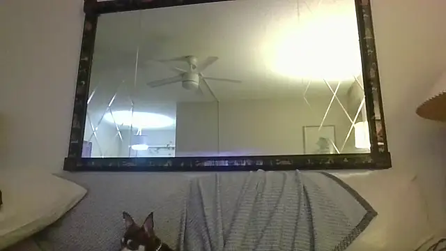 Snapshot of KosherCo313 chatting on 11/23/25, 01:27 KosherCo313 online show from 11/23/25, 01:27