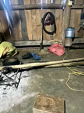 nachi-baby online show from 12/14/25, 08:52