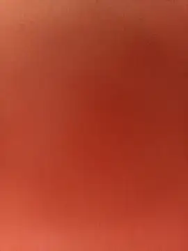 virgin-shy online show from 11/20/25, 02:39