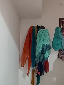 sivashree online show from 04/11/26, 08:18