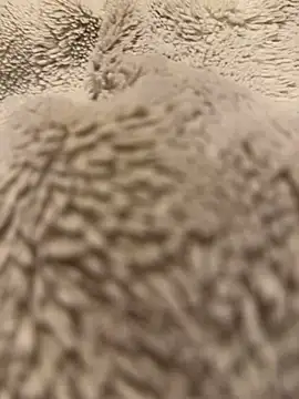 Snapshot of Jackoff2345 chatting on 02/18/26, 05:25 Jackoff2345 online show from 02/18/26, 05:25