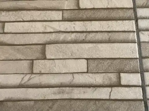  DignoDePutaria  online show from 01/16/26, 02:43