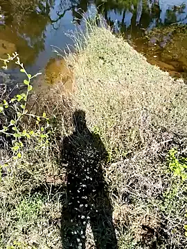 devil boy 0909 online show from 11/07/25, 05:29