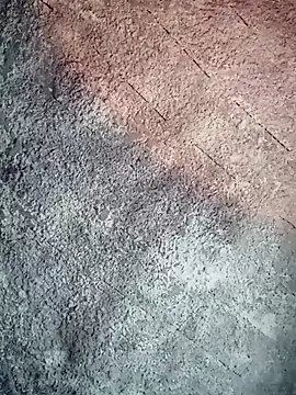 SkinniYamo online show from 04/11/26, 11:58