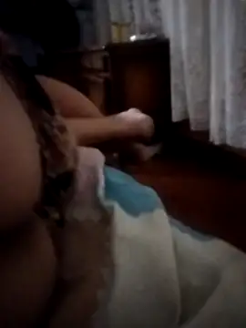 pampa4456 online show from 12/16/25, 05:23