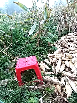 doggy-00 online show from 07/17/26, 03:02