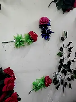 Indian-Glory online show from 12/13/25, 07:53