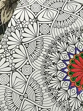 bigtelugubhama online show from 11/15/25, 04:25