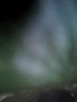 Georgette466 online show from 04/18/26, 02:10