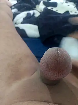 Snapshot of Ayoub_ben27 chatting on 11/08/25, 03:45 Ayoub ben27 online show from 11/08/25, 03:45