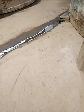 Snapshot of Pandey0012 chatting on 10/28/25, 02:26 Pandey0012 online show from 10/28/25, 02:26