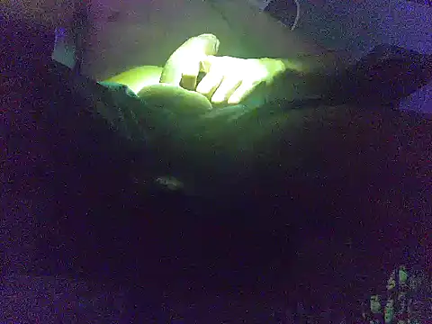 analice32456 online show from 03/03/26, 06:52