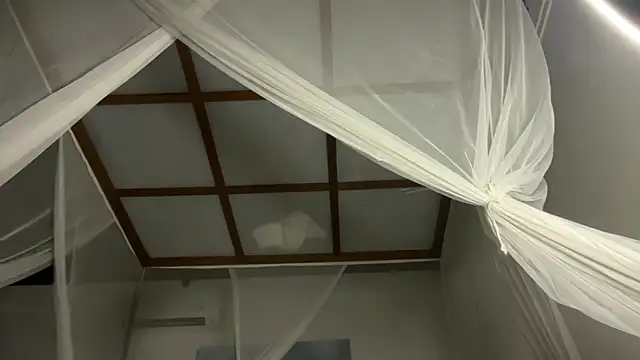 Bae Belle online show from 12/21/25, 02:19