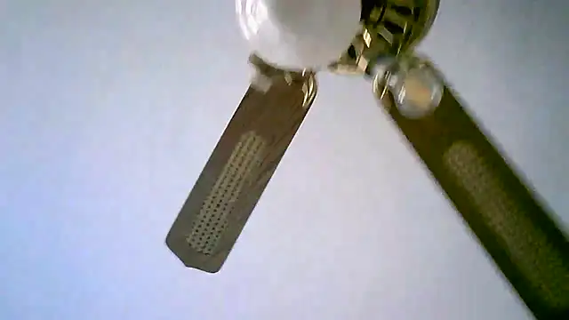 Sylviastar46 online show from 11/11/25, 02:50