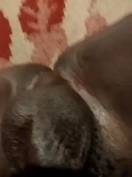 Reajune2001 online show from 04/20/26, 02:09