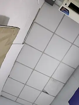 Liveryta online show from 11/20/25, 12:38