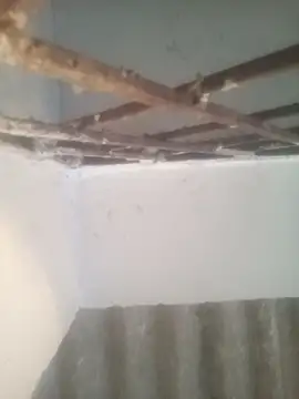 Pallu Asha online show from 03/15/26, 01:22