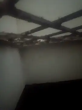 Pallu Asha online show from 03/15/26, 03:51