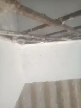 Pallu Asha online show from 04/28/26, 12:53