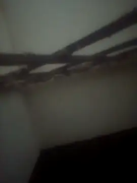 Pallu Asha online show from 04/28/26, 03:50