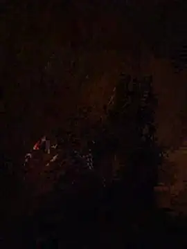 Tarsexxx online show from 06/23/26, 12:19