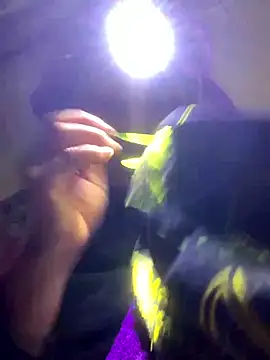 bi-bo123 online show from 01/11/26, 02:22