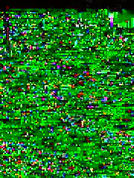 gatitaamelosaa7 online show from 02/19/26, 09:44