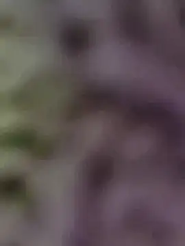 Hot-Sana2 online show from 01/13/26, 01:49