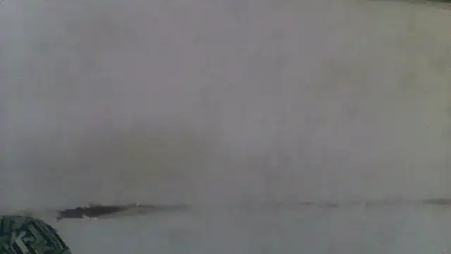 Ndodemnyamaxh online show from 03/02/26, 08:04