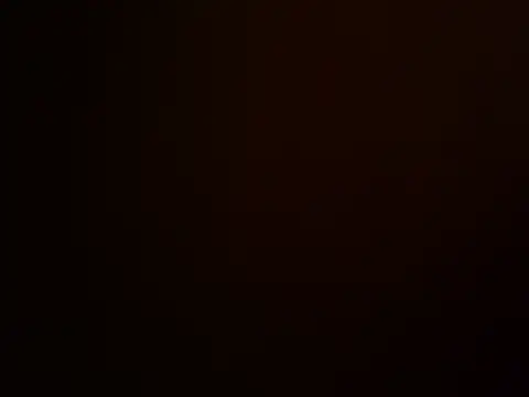 Niesmialyy online show from 11/13/25, 09:14