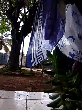 moreninho564 online show from 11/25/25, 04:40