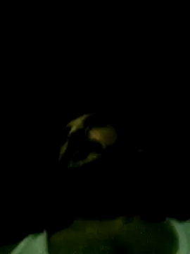 Yerackhip online show from 03/24/26, 07:46