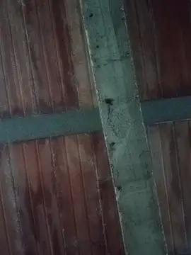 Megan2026 online show from 02/19/26, 11:12