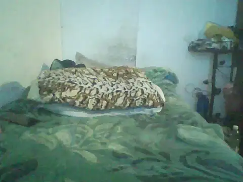 GuilleHotsexy online show from 11/11/25, 01:00