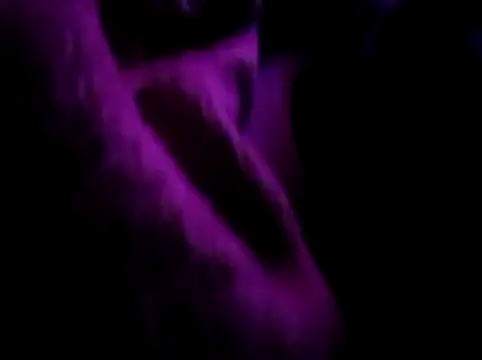 Snapshot of akram306 chatting on 11/14/25, 11:24 akram306 online show from 11/14/25, 11:24